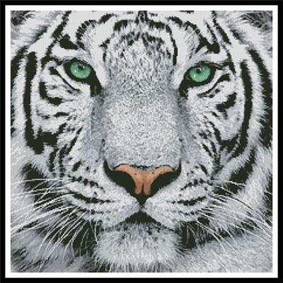 White Tiger Close Up Cross Stitch Pattern