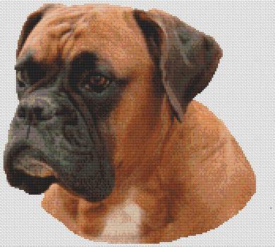 Boxer Dog Counted Cross Stitch Pattern 