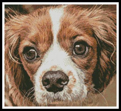 King Charles Spaniels ~ Dogs ~ DIY Counted Cross Stitch Pattern 
