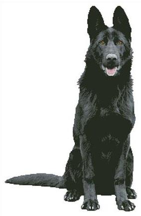 Black German Shepherd Cross Stitch Pattern