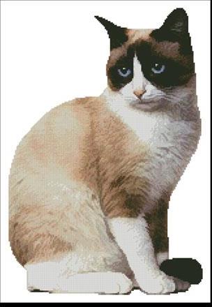 Snowshoe Cat 2 Cross Stitch Pattern