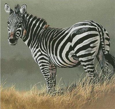 Zebra Painting